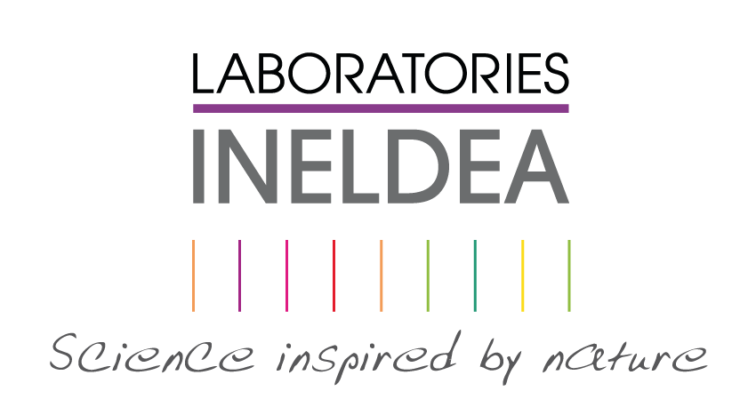 Ineldea Logo