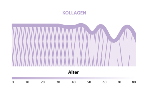 Kollagenverlust im Alter