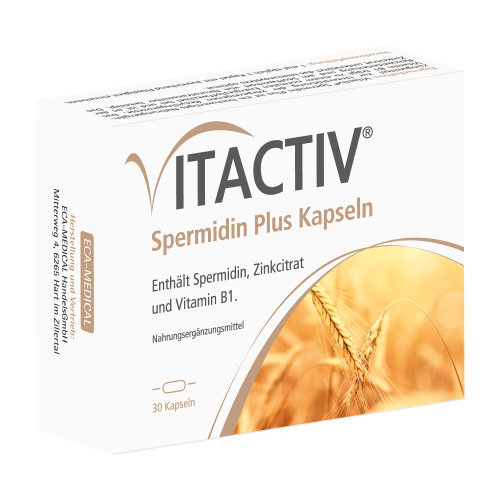 Vitactiv Spermidin